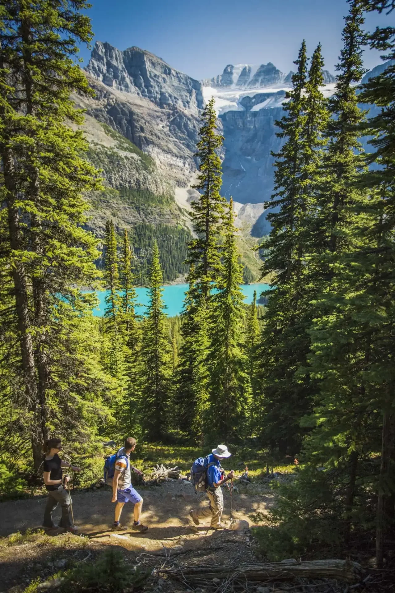 Banff In July: Things To Do In The Summer | Discover Banff Tours