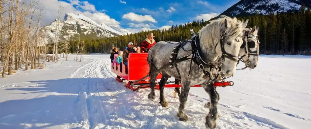 Banff Trail Riders Public Sleigh Ride