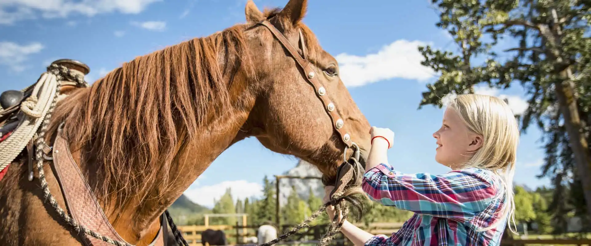 Children and families love meeting the horses on a carriage ride or wagon ride