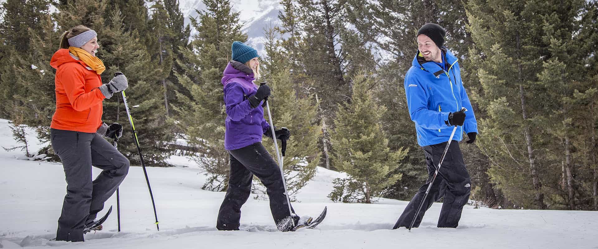 Take an easy Banff snowshoeing tour with Discover Banff Tours in the Canadian Rockies