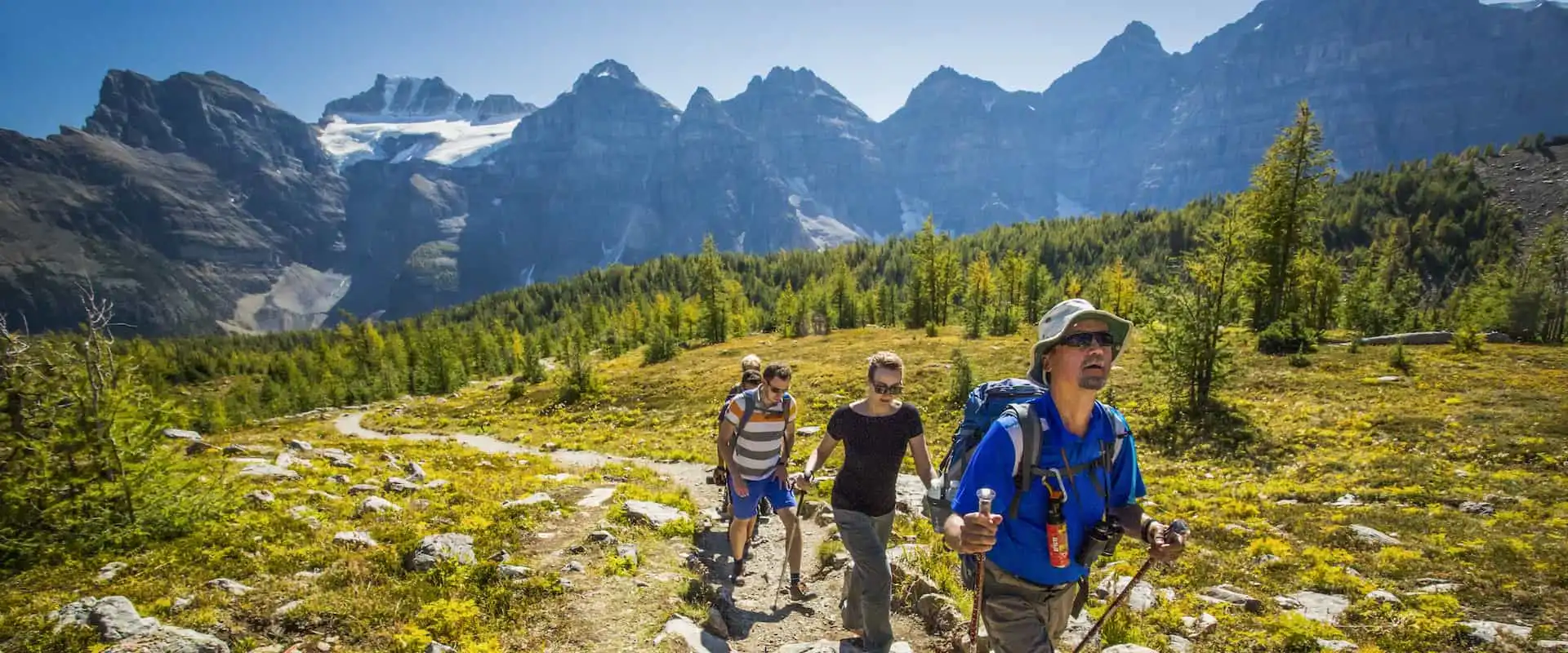 Take a guided hike to Larch Valley with Discover Banff Tours