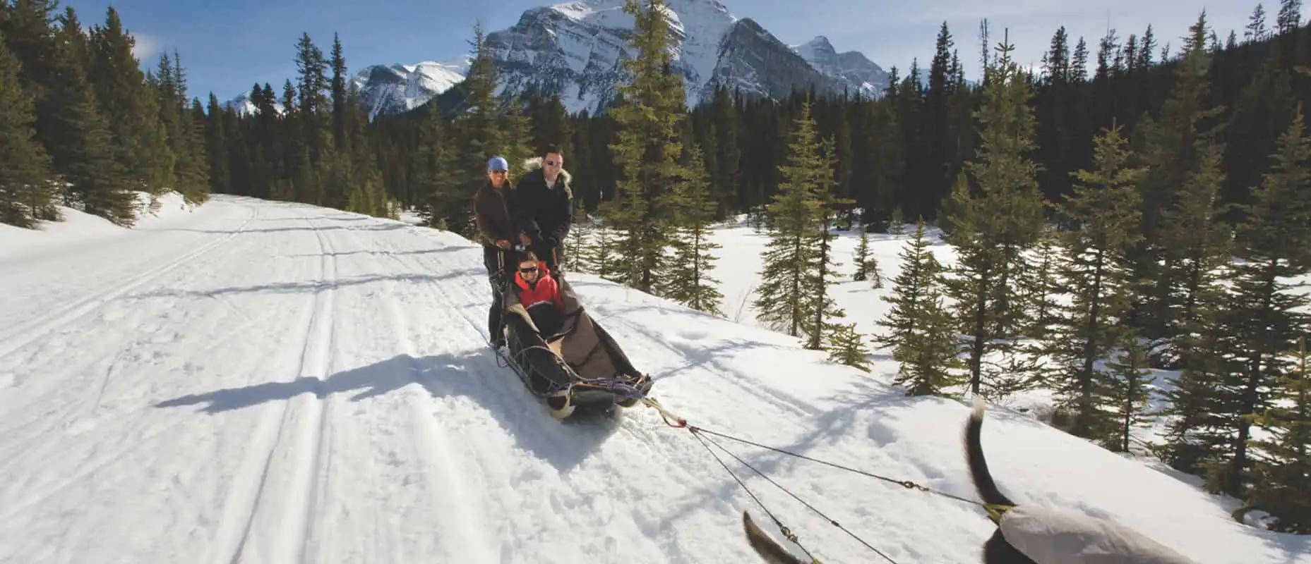 Experience dogsledding in Lake Louise in the Canadian Rockies