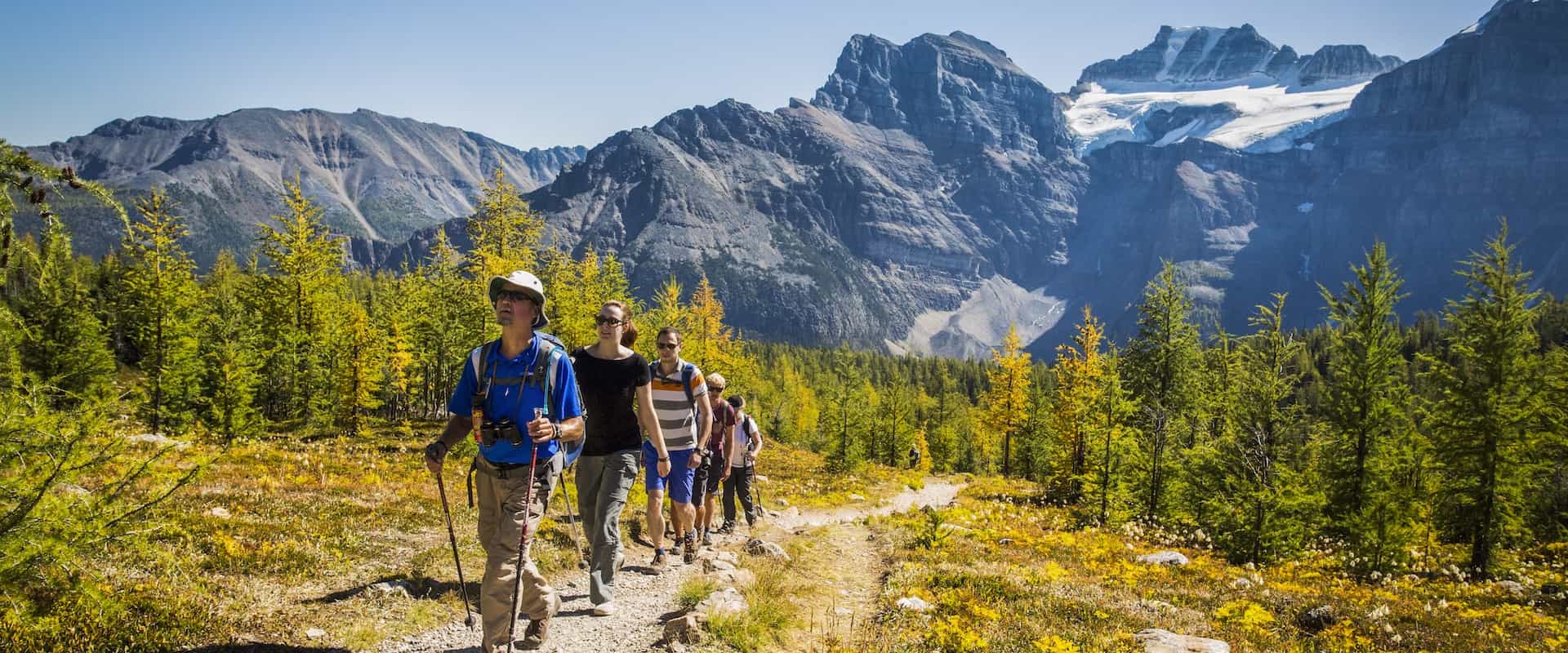 Explore the Larch Valley hiking trail with a professional guide with Discover Banff Tours