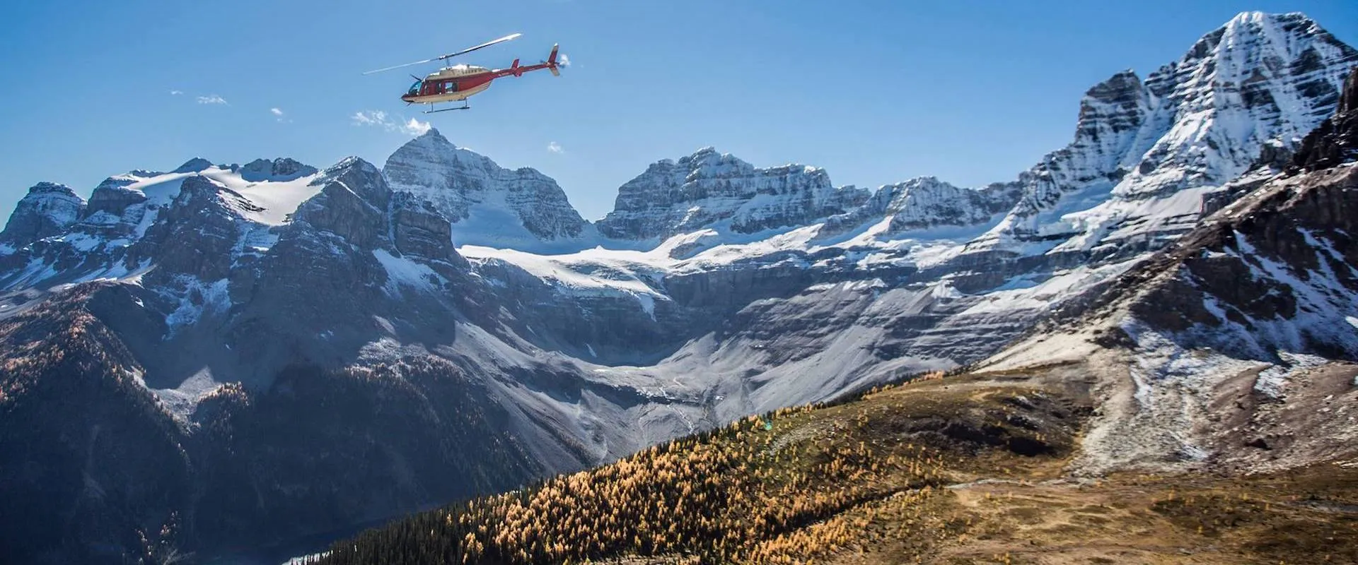 Alpine Helicopters