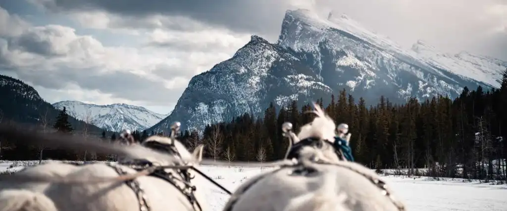 Sleigh ride mountain views