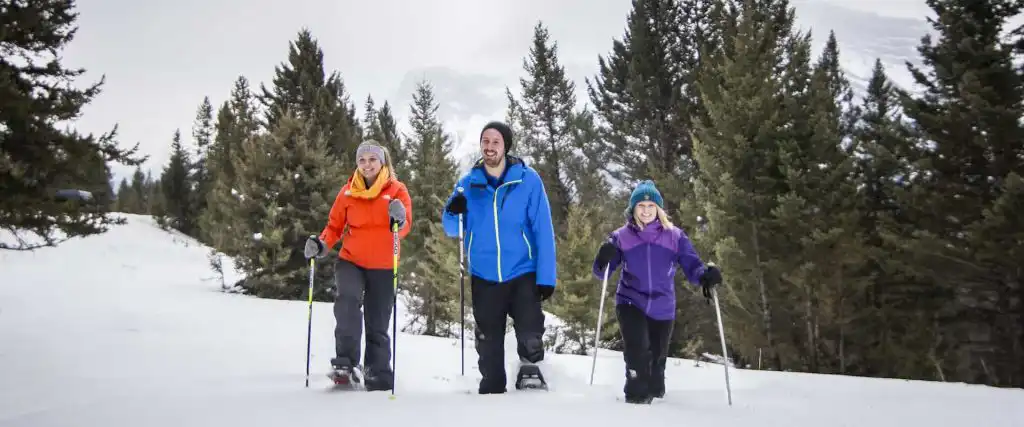 Walk through fresh snow on a Banff snowshoeing tour